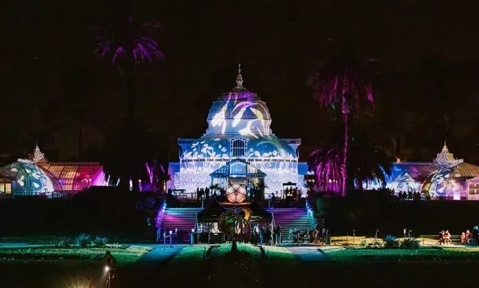 Photosynthesis Light Show
